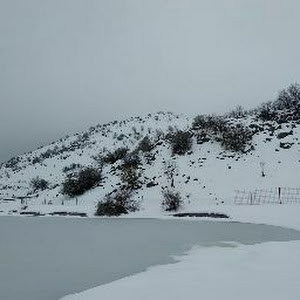 תמונת משתמש