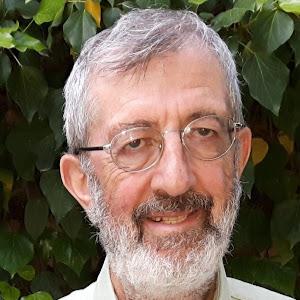 תמונת משתמש