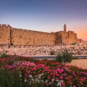 תמונת משתמש