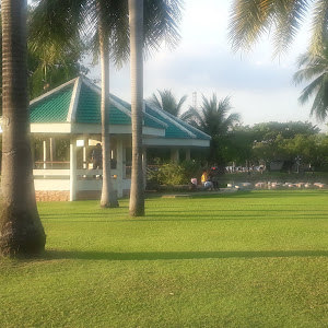 תמונת משתמש