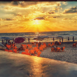 תמונת משתמש