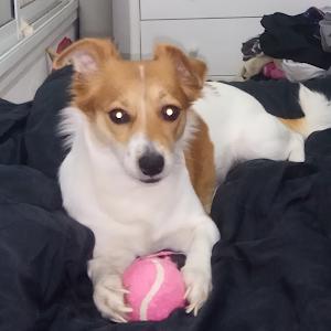 תמונת משתמש