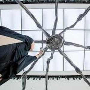 תמונת משתמש