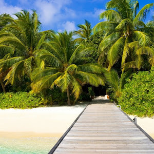 תמונת משתמש