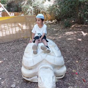 תמונת משתמש