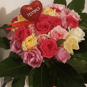 תמונת משתמש