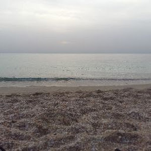 תמונת משתמש