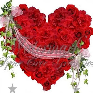 תמונת משתמש