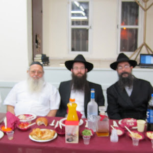 תמונת משתמש