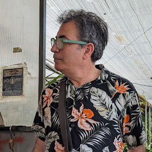 תמונת משתמש