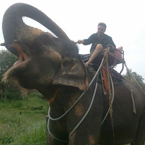 תמונת משתמש