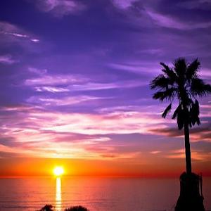 תמונת משתמש