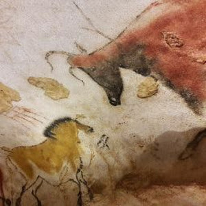 meronlaw - תמונה