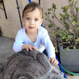 תמונת משתמש