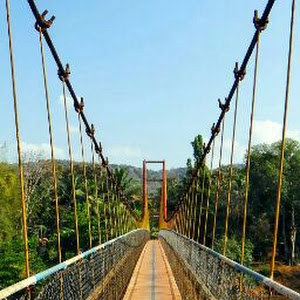 תמונת משתמש