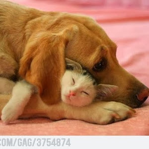 תמונת משתמש