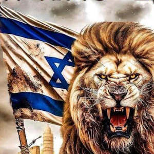 תמונת משתמש