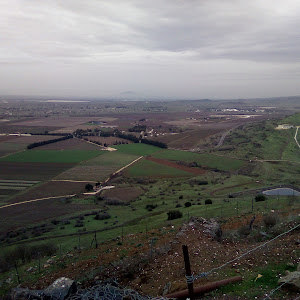 תמונה - g8432888 תמונה - g8432888