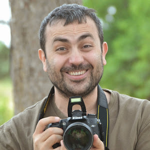 תמונת משתמש