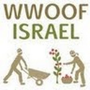 תמונת משתמש