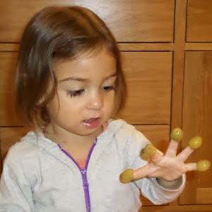 תמונת משתמש