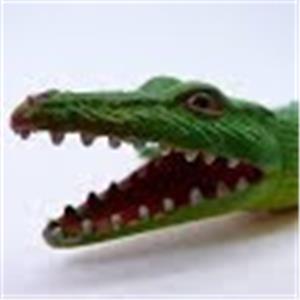 תמונת משתמש