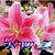 תמונה גנרית לכותב חוות דעת תמונה גנרית לכותב חוות דעת