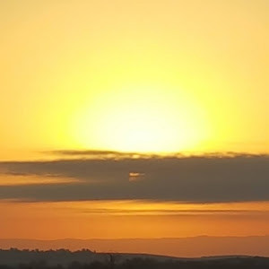 מלכה - תמונה