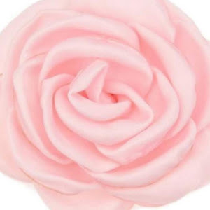 חנית - תמונה