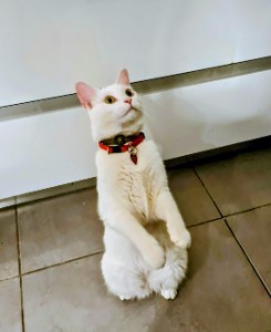 איתמר - תמונה איתמר - תמונה