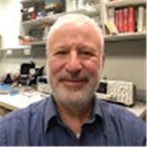 תמונת משתמש