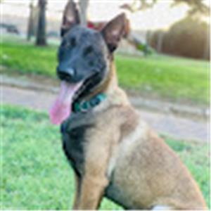 תמונת משתמש