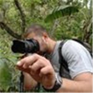 stfreidl - תמונה