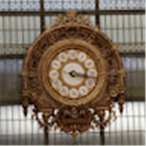 תמונת משתמש