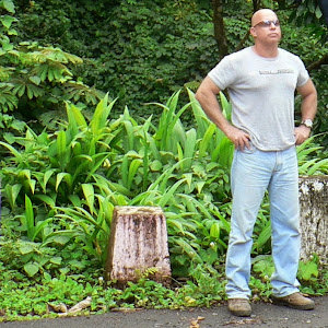 תמונת משתמש