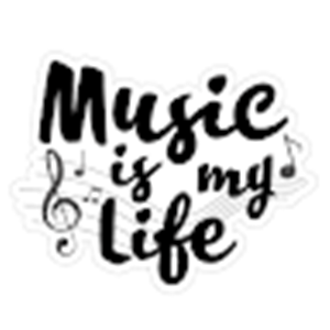 tomerb33 - תמונה