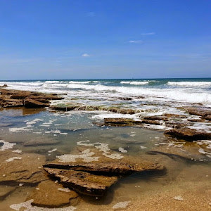 תמונת משתמש