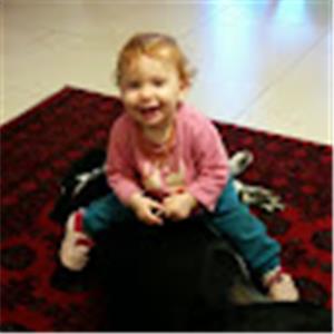 תמונת משתמש