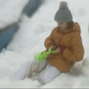 תמונת משתמש