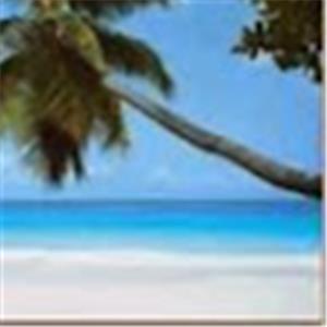 תמונת משתמש