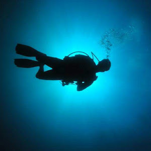 תמונת משתמש