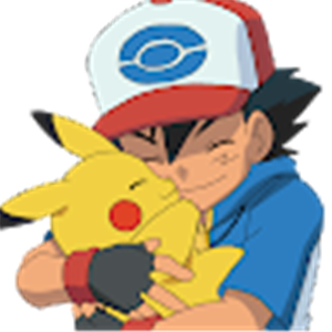 שולי - תמונה