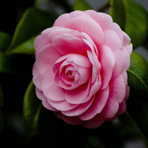 תמונת משתמש