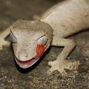 תמונת משתמש