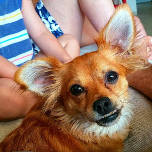 תמונת משתמש