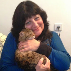 תמונת משתמש