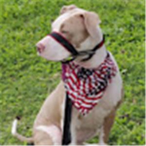 תמונת משתמש