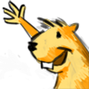 תמונת משתמש