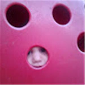 תמונת משתמש