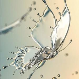 תמונת משתמש